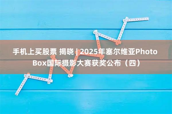 手机上买股票 揭晓 | 2025年塞尔维亚Photo Box国际摄影大赛获奖公布（四）